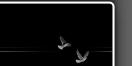 header_rechts